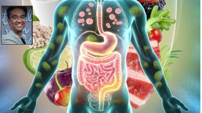 Gut Health Habits