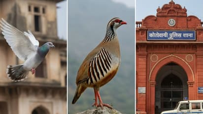 इन 6 शब्द के पर्यायवाची नाम