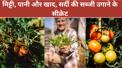 winter gardening tips India
