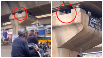 फ्लाईओवर के खंभे के अंदर का नजारा देख हर कोई दंग, वीडियो वायरल