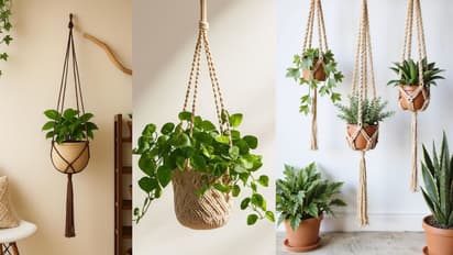 Hanging flower pots Amazon