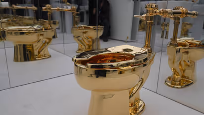 Gold Toilet: 'अमेरिका' नाम वाला सोने का टॉयलेट ₹1.21 करोड़ में नीलाम