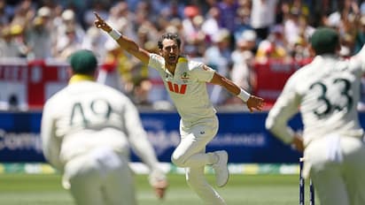Mitchell Starc 10 wicket haul