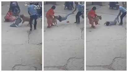 Pitbull Attack Viral Video: दिल्ली के प्रेम नगर में कुत्ते ने 6 साल के मासूम को किया लहूलुहान