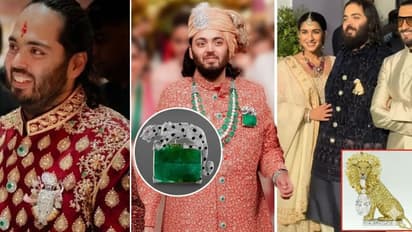 अनंत अंबानी ब्रोच डिजाइंस 