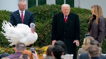 President Donald Trump