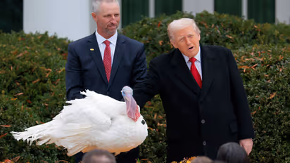 President Donald Trump