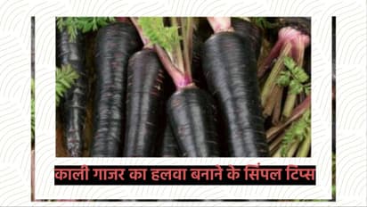 काली गाजर हलवे की रेसिपी