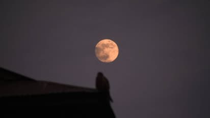 Margashirsha Purnima 2025