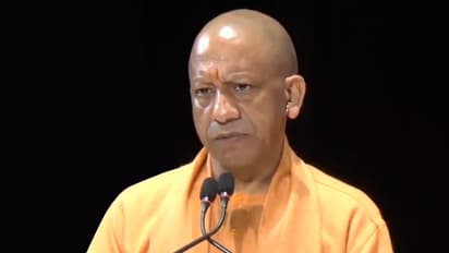 yogi government action up 