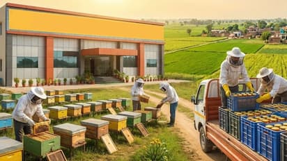 যোগী সরকারের দুর্দান্ত সাহায্য, 'মৌমাছিওয়ালা' পেল আন্তর্জাতিক স্বীকৃতি