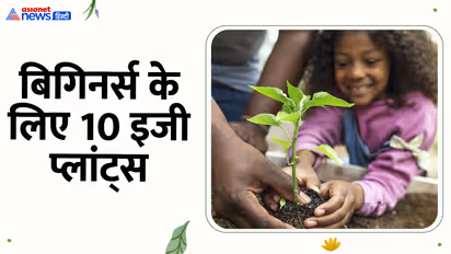 Easy plants for beginners