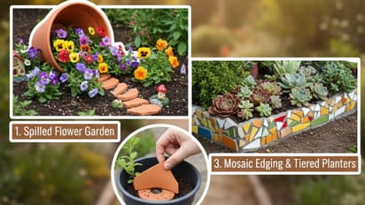 टूटे गमले ऐसे करें रीयूज