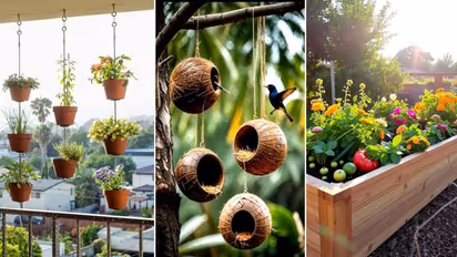 500 से कम में होम गार्डन सेटअप