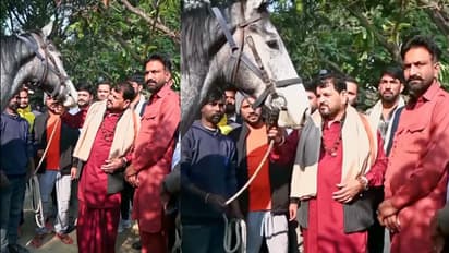 brij bhushan sharan singh two crore horse gift