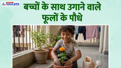 बच्चों के लिए फूलों के पौधे