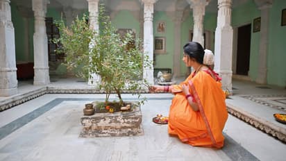 Tulsi Pujan Diwas 2025