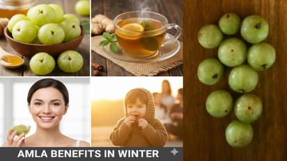 winter amla benefits