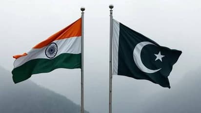 पाकिस्तान की धरती से भारत के समर्थन में आया एक खुला खत, पढ़ें क्या लिखा है इसमें...