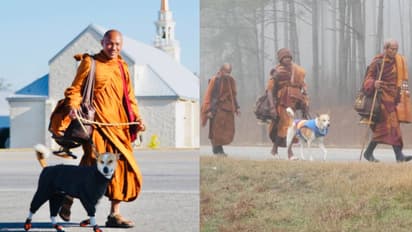 भारतीय कुत्ता, बौद्ध भिक्षुओं संग अमेरिका में 'शांति यात्रा' पर, चल चुका है 4828 किमी