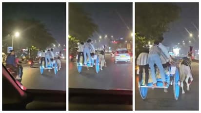 Illegal horse race on Mumbai Expressway