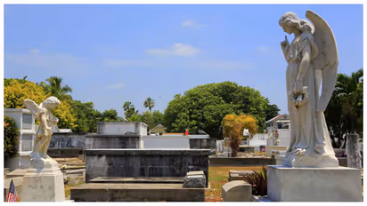 पति की कब्र पर 8 महीने तक सोई महिला, पुलिस की जांच में निकला चौंकाने वाला सच!