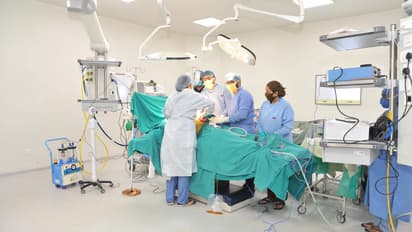 प्रतीकात्मक तस्वीर।