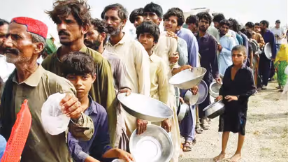 कंगाली में डूबा पाकिस्तान, गरीबों का पेट काटकर मैडम ने खरीदा 380 करोड़ का VIP विमान!