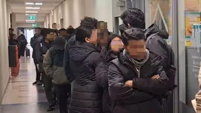 आयरलैंड में भूख से तड़प रहे भारतीय छात्र, फूड बैंक की तस्वीर वायरल होते ही मचा हडकंप