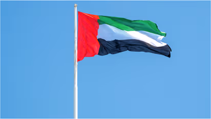 uae flag