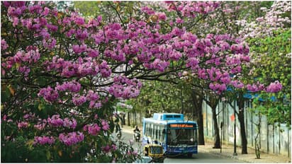 Viral Post: डेढ़ लाख की सैलरी, फिर भी हाथ तंग! बेंगलुरु के लड़के का दर्द हुआ वायरल