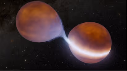 Brown Dwarf Merger