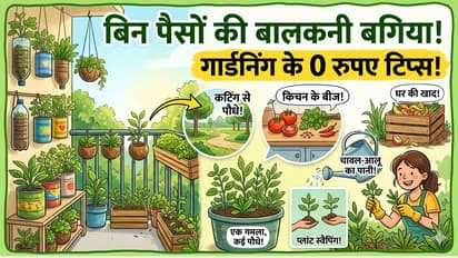 gardening tips in hindi