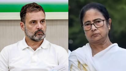 west bengal election 2026 congress candidate list mamata vs congress