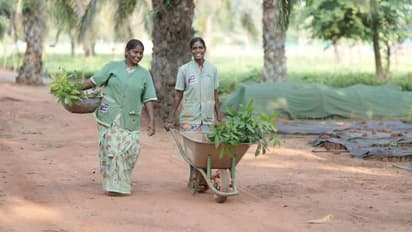 Women Empowerment : एका नर्सरीने बदललं आयुष्य, तामिळनाडूतील २०० महिलांच्या सक्षमीकरणाची गोष्ट
