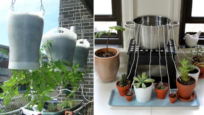 वेकेशन पर ऐसे दें पौधों को पानी