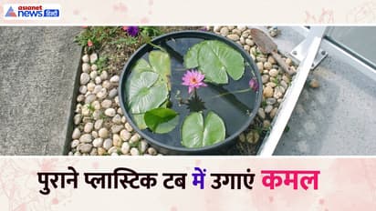 Balcony Mini Pond Ideas