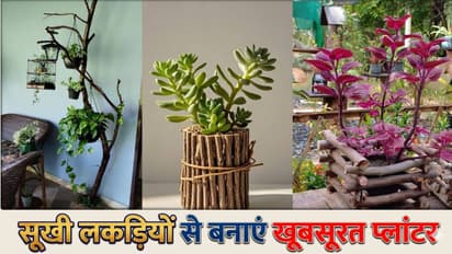 Dry Wood Planter DIY