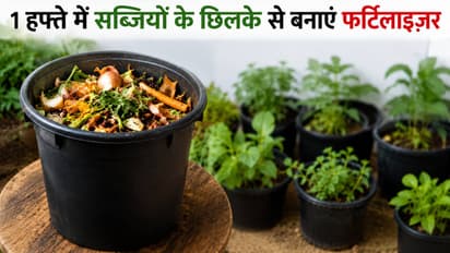 Vegetable Peel Fertilizer