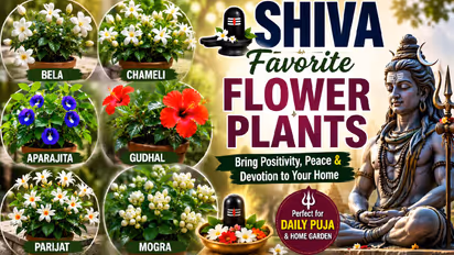 Best Plants for Shiva Puja