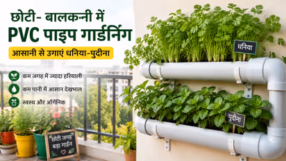 pvc pipe gardening