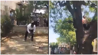 UP