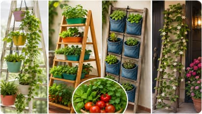 Ladder Gardening: No Space? Turn 2 Feet Into A Lush Mini Garden With Smart Ideas