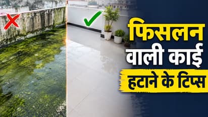 Prevent Moss on Balcony