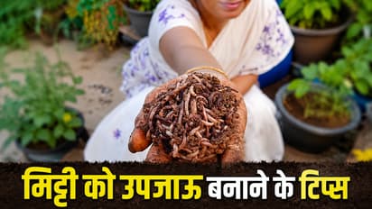 earthworms in soil tips