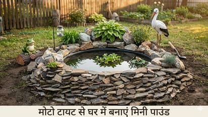मिनी पाउंड
