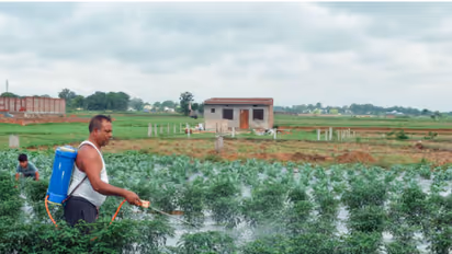 Farming