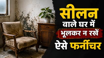 फर्नीचर