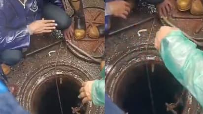 mumbai heavy rain open manhole death bmc contractor negligence imd rain alert