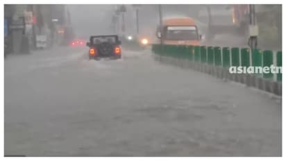 himachal rain